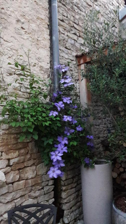 Appartamento La Cuvée-Saint-Georges Nuits-Saint-Georges Esterno foto